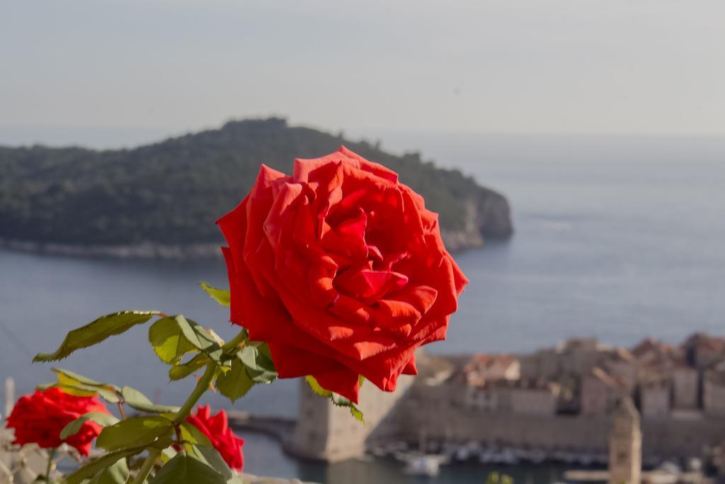 Apartment Teo Dubrovnik Eksteriør billede